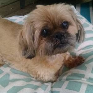 Meet your Posher, Caroline